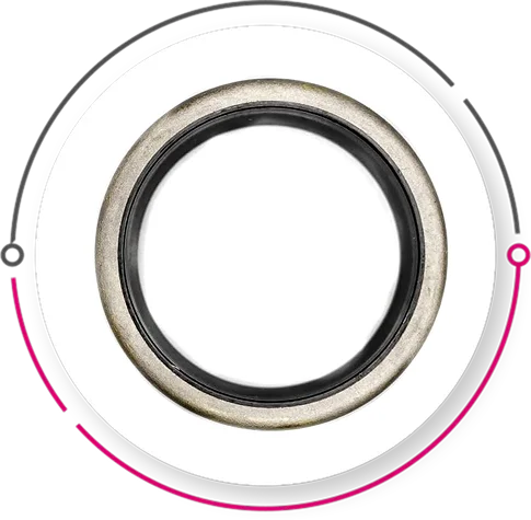 Wiper / Scraper Seals